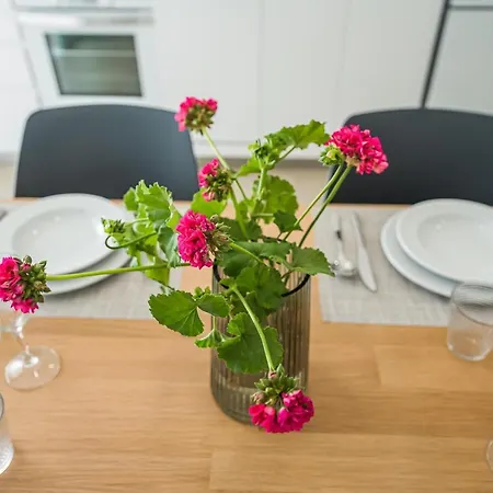 Apartamento Els Arbocers 131-2 Cala Blanca (Menorca)