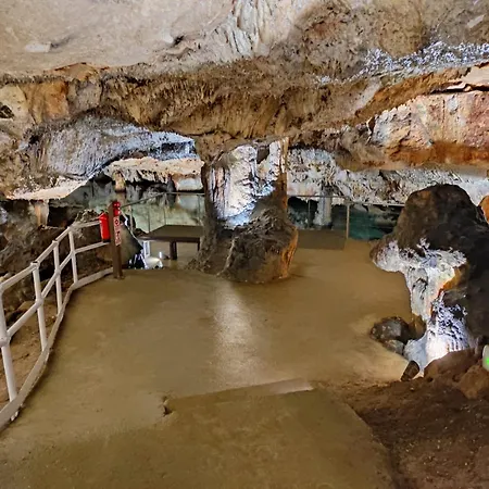 Els Arbocers 131-2 Appartement