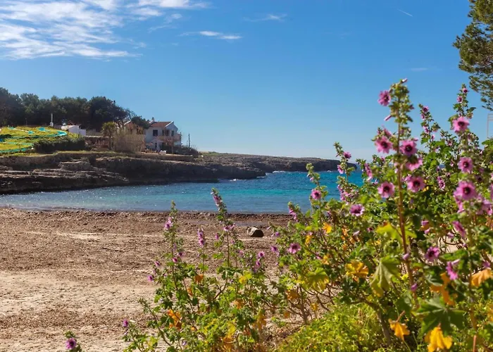 Els Arbocers 131-2 Appartement *