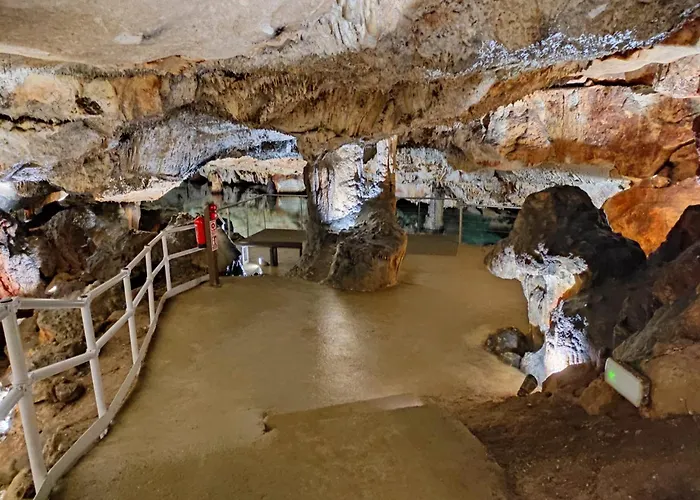 Els Arbocers 131-2 Appartement