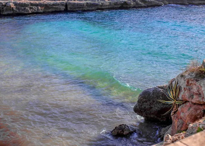 Els Arbocers 131-2 * Cala Blanca (Menorca)